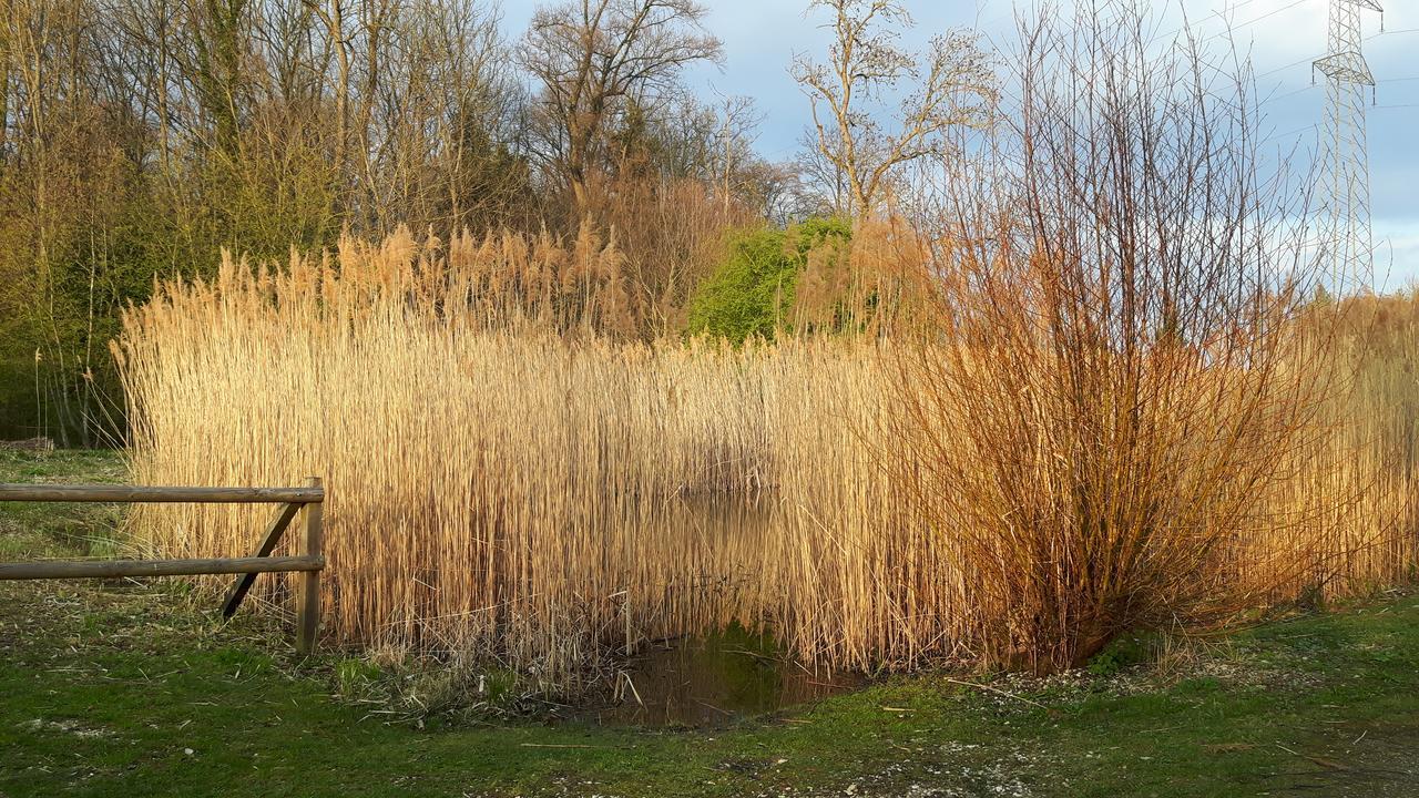 Mybednbreakfast In Bottmingen Panzió Kültér fotó