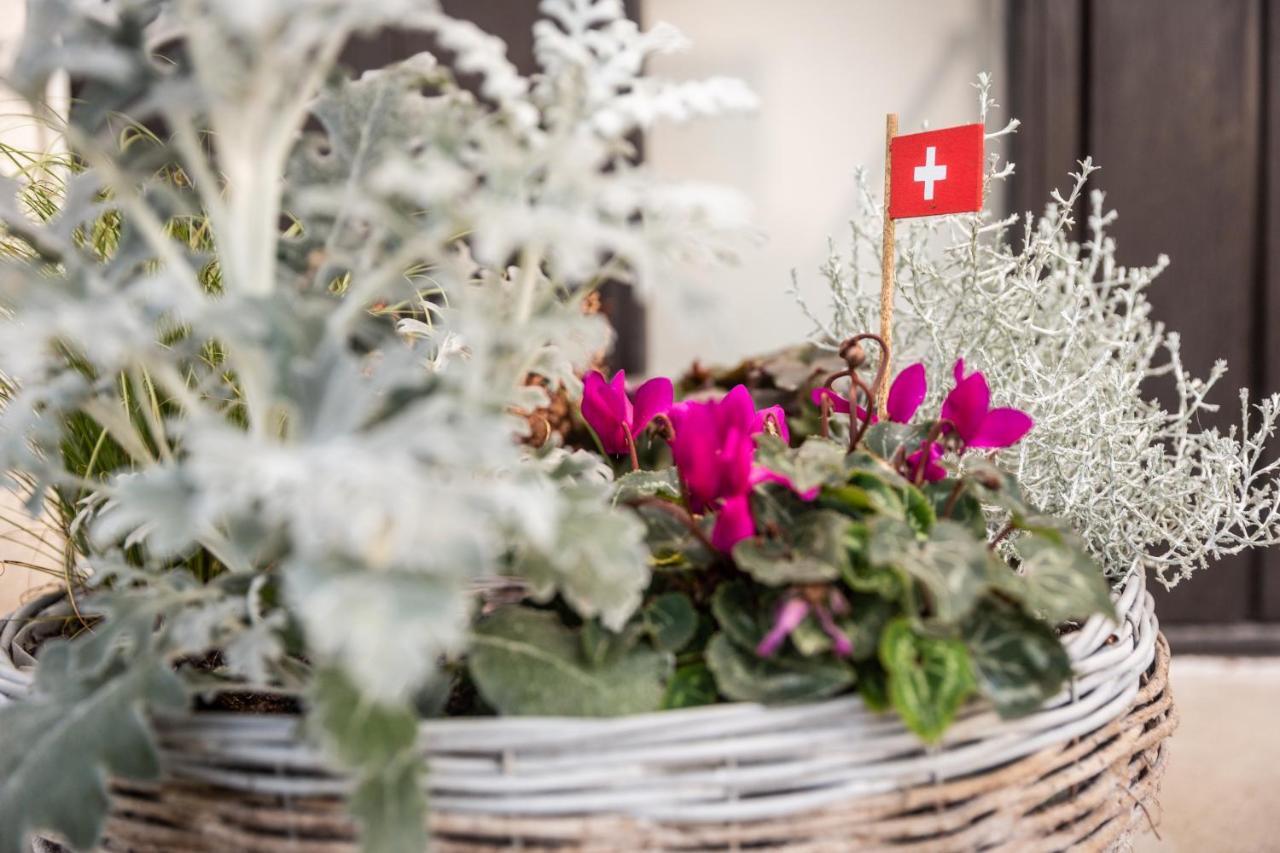 Mybednbreakfast In Bottmingen Panzió Kültér fotó